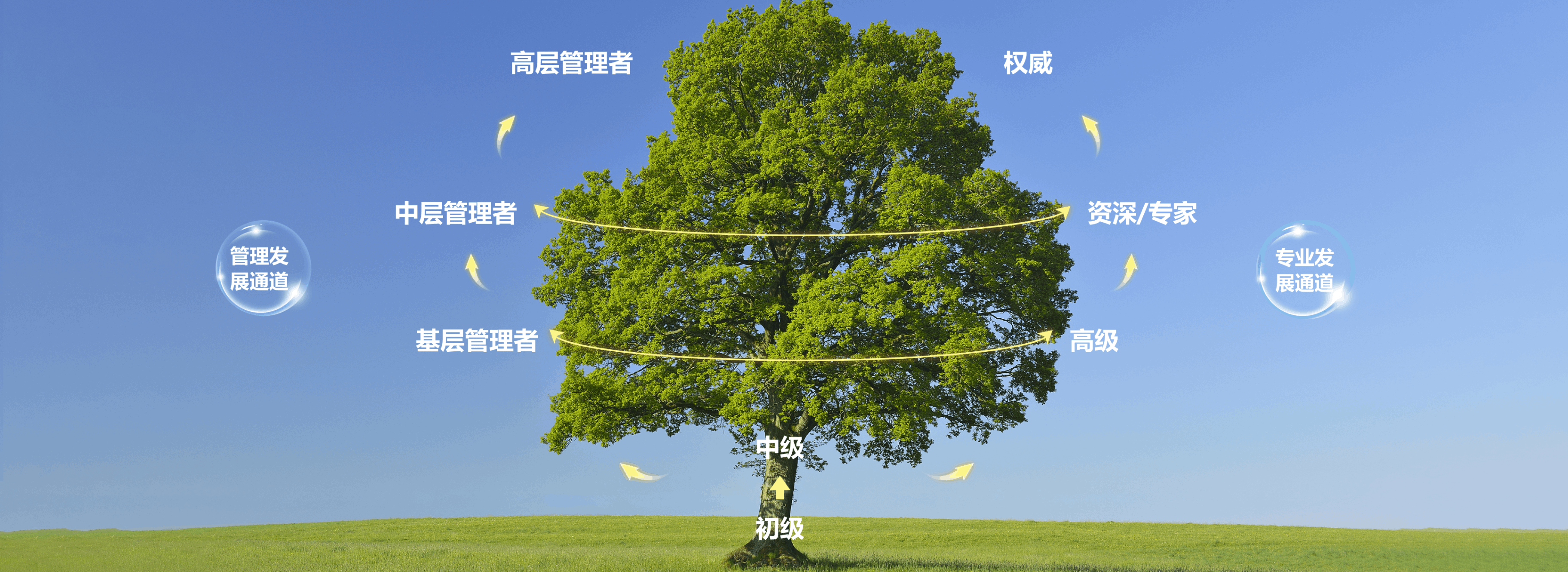 豪门国际