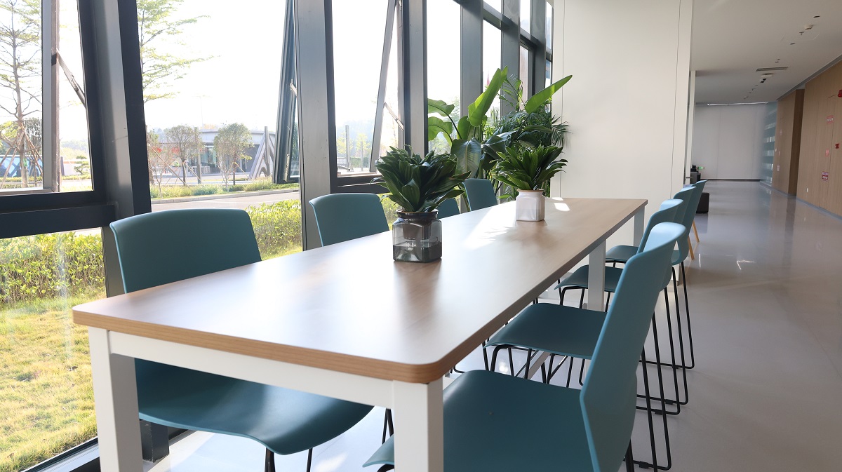 豪门国际